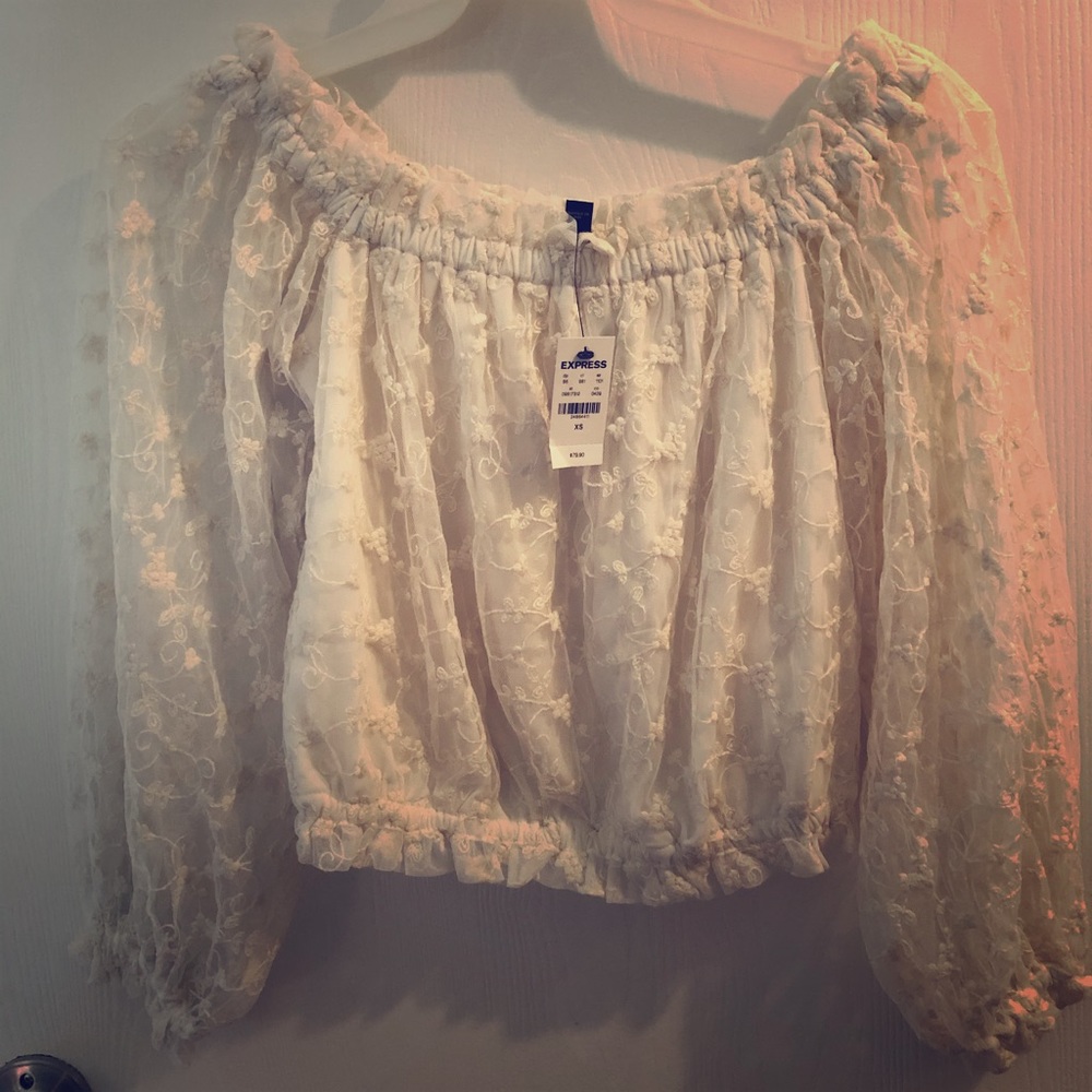 Sheer, long sleeve embroidered, crop top